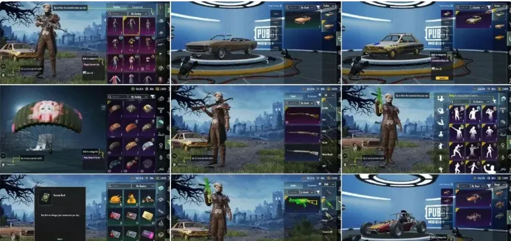 PGM499 Glacier M416 Level 1, 39 Outfit Sets, 2 Sedan Skins, 2 Buggy Skins, 4 Helmets, 6 Backpacks, Name Change Card, Many Emotes & Parachutes (G)